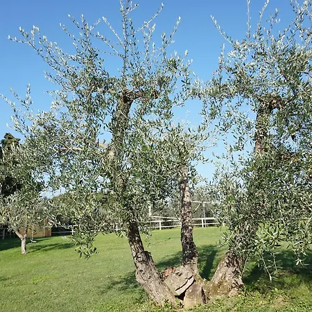 Residenza Piandaccoli Lastra a Signa